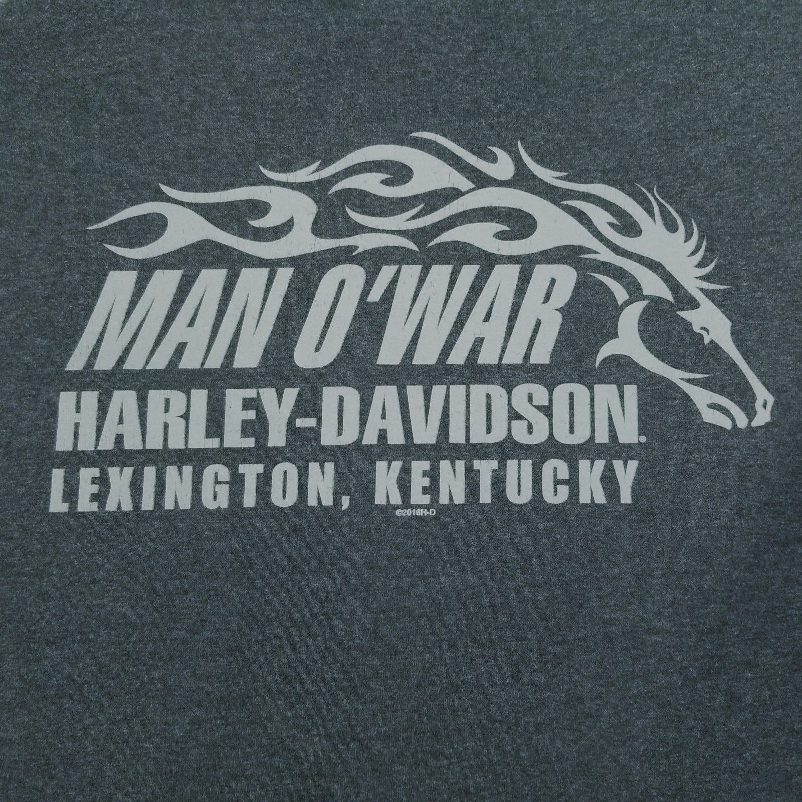Harley Davidson Tshirt Adult Xl Gray Pocket Man O War Lexington Ky Biker
